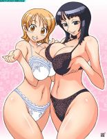 one_piece_nami_x_nico_robin_20110626_033.jpg
